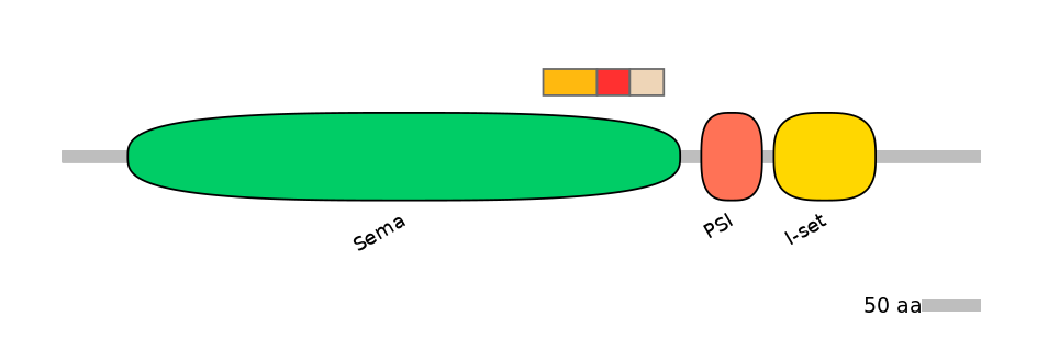 HsaALTD1000050-2_3-EXC