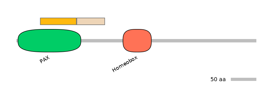 HsaALTD1000594-1_3-EXC