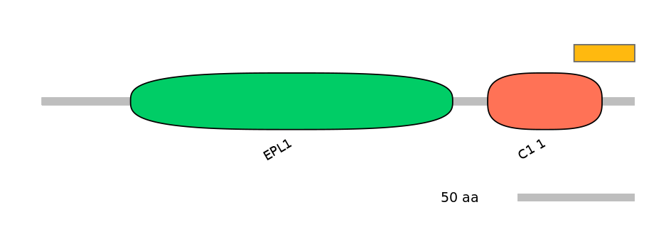 HsaALTD1002022-1_2-EXC