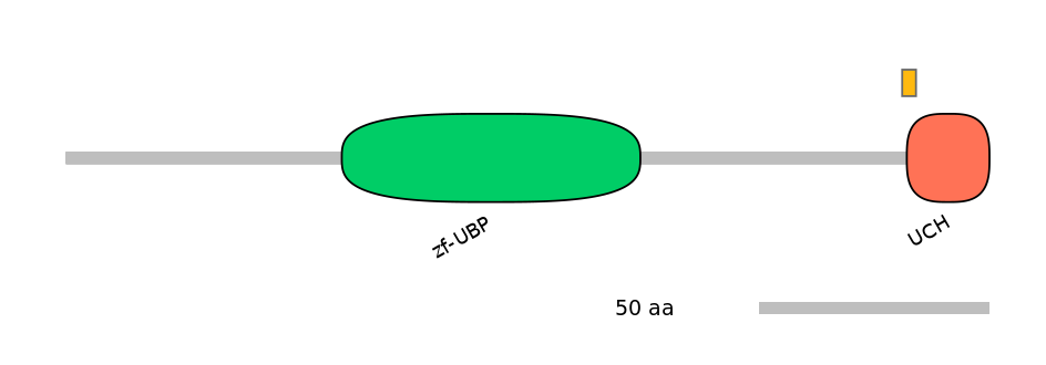 HsaALTD1004785-2_2-EXC