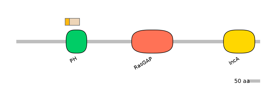 HsaALTD1009837-1_2-EXC