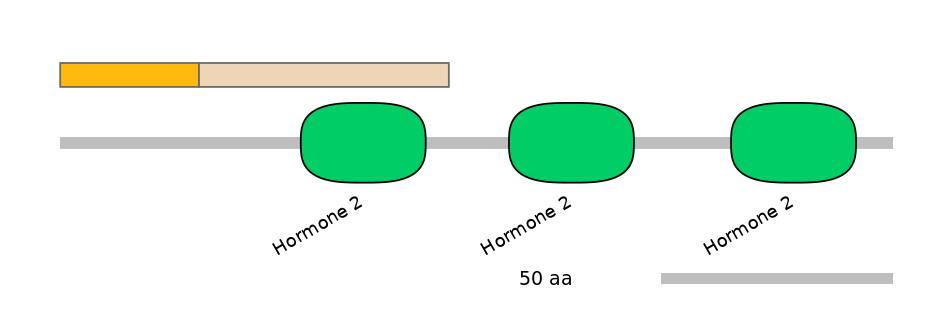 HsaALTD1013711-1_2-INC
