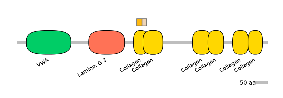 HsaALTD1016815-1_2-EXC