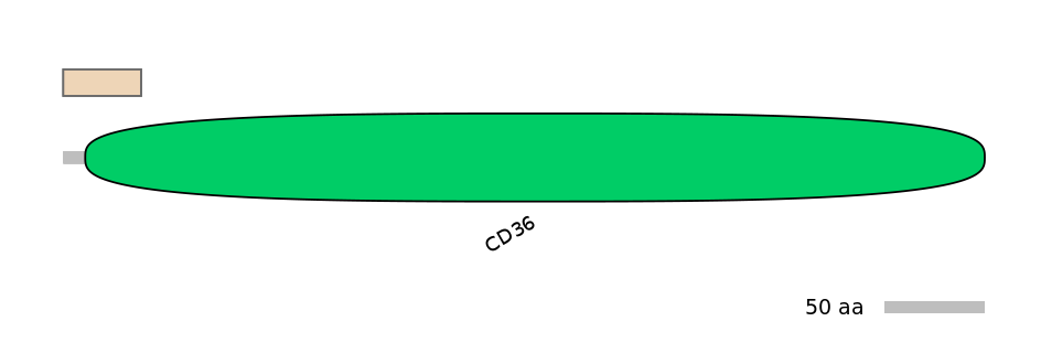 HsaALTD1020769-1_3-EXC
