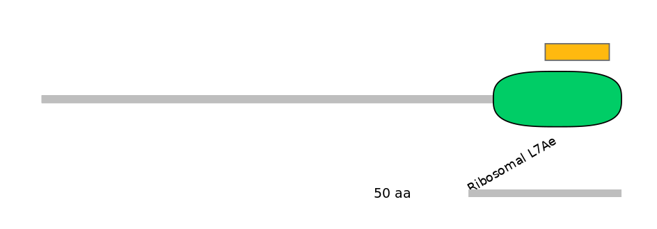 HsaALTD1026507-3_5-EXC