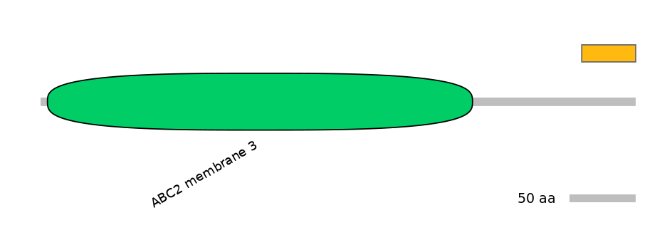 HsaALTD1028256-3_3-EXC