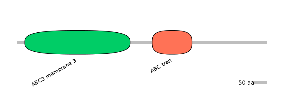 HsaALTD1028260-1_2-EXC