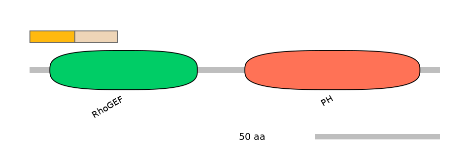 HsaALTD1029933-1_5-EXC