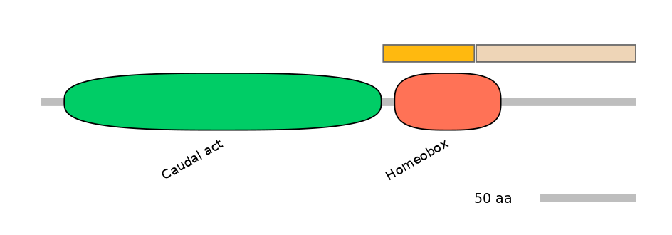 HsaALTD1032780-1_2-EXC