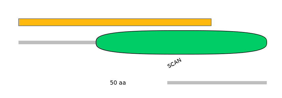 HsaALTD1033159-3_3-EXC