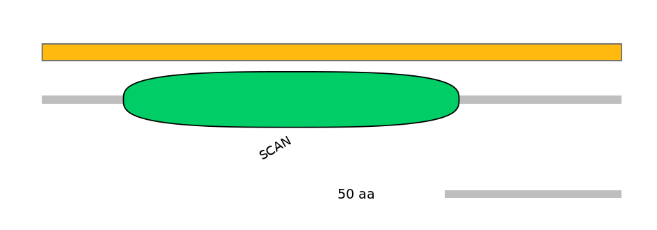 HsaALTD1036499-1_2-EXC