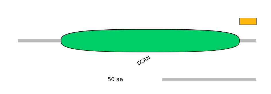 HsaALTD1036499-1_2-INC