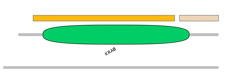 HsaALTD1042431-2_2-EXC