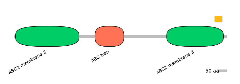 HsaEX0000238-EXC