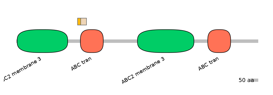 HsaEX0000248-EXC