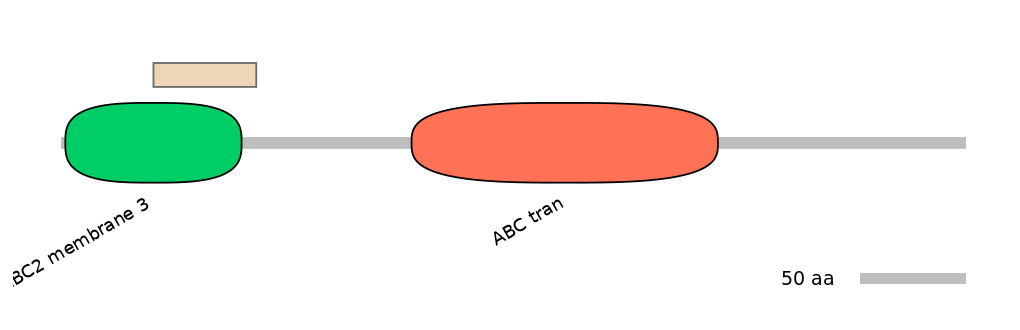 HsaEX0000265-EXC