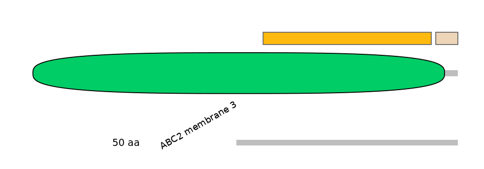 HsaEX0000316-EXC