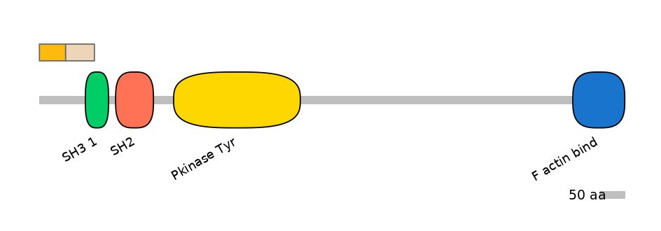 HsaEX0000712-EXC