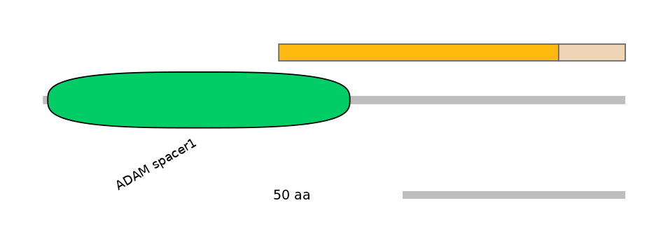 HsaEX0002606-EXC