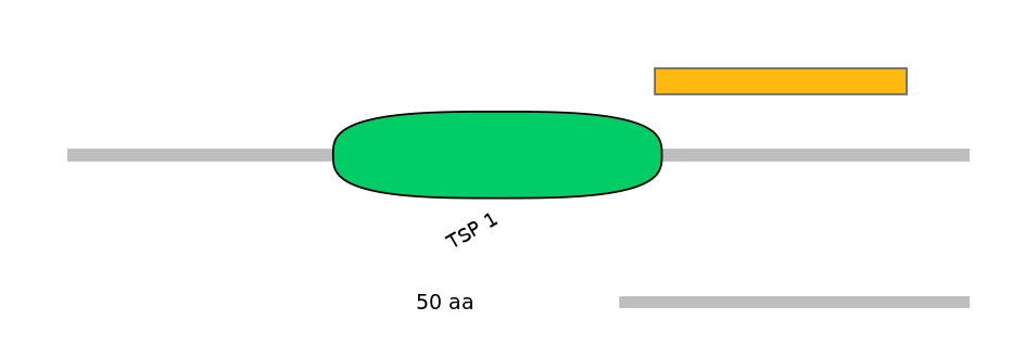 HsaEX0002610-EXC