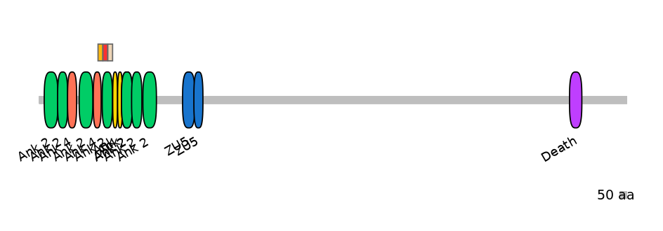 HsaEX0004123-INC