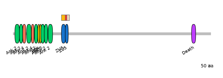 HsaEX0004132-INC