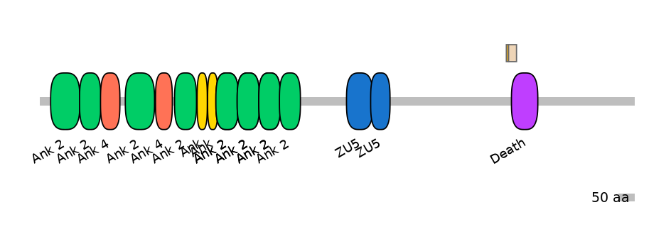 HsaEX0004136-EXC