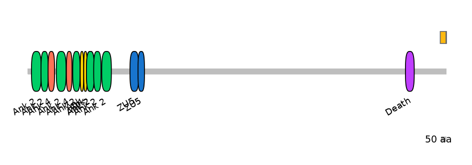 HsaEX0004139-EXC