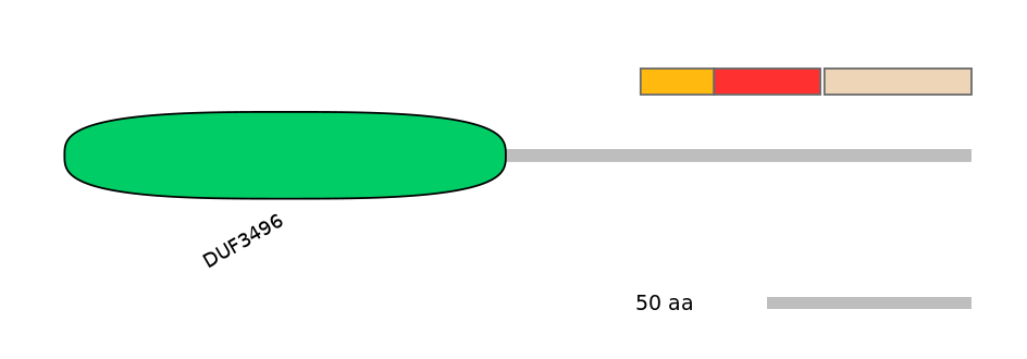HsaEX0004359-INC