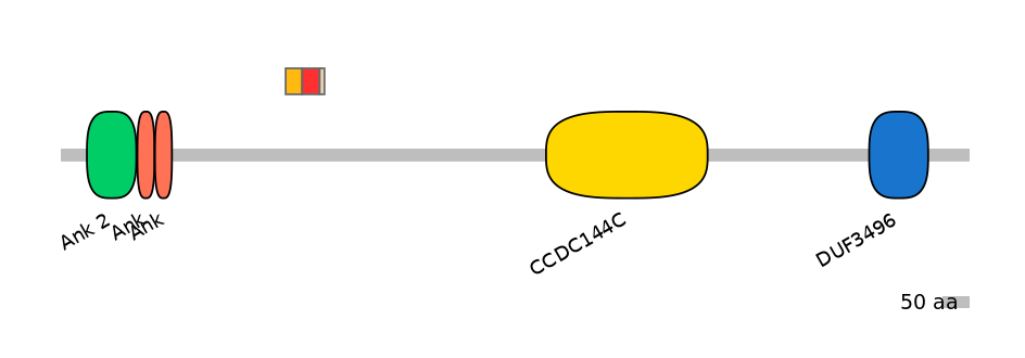 HsaEX0004399-INC