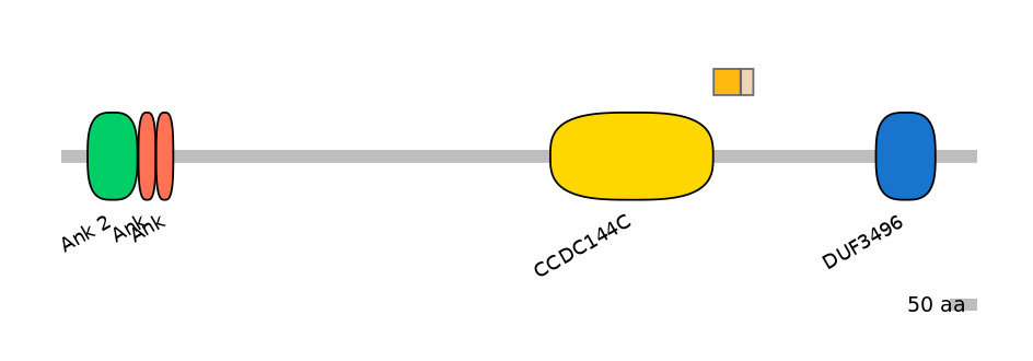 HsaEX0004401-EXC