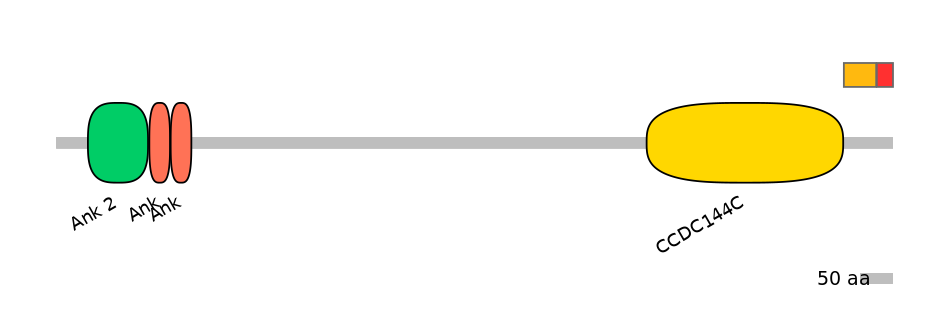HsaEX0004401-INC
