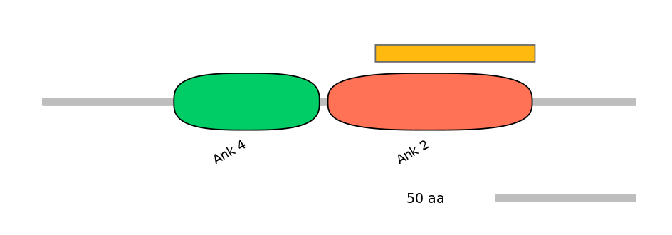 HsaEX0004403-EXC