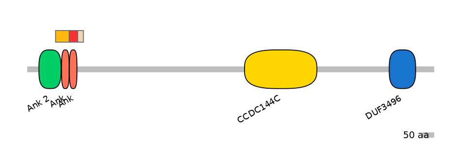 HsaEX0004403-INC