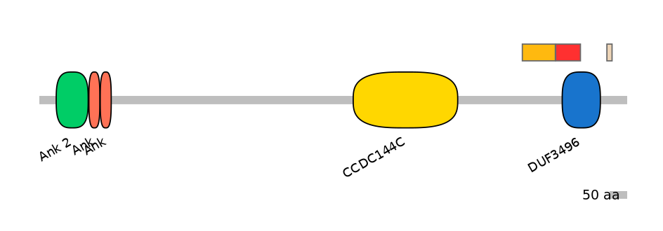 HsaEX0004415-INC