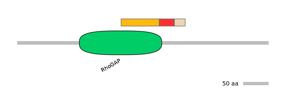HsaEX0005435-INC
