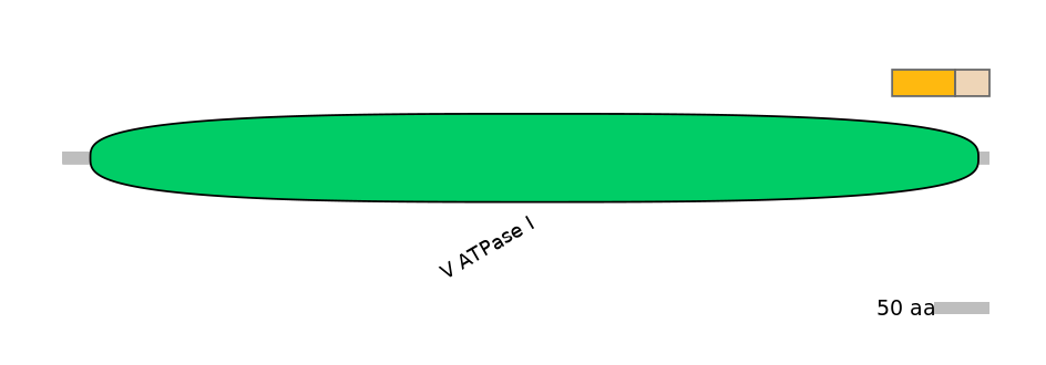 HsaEX0006956-EXC