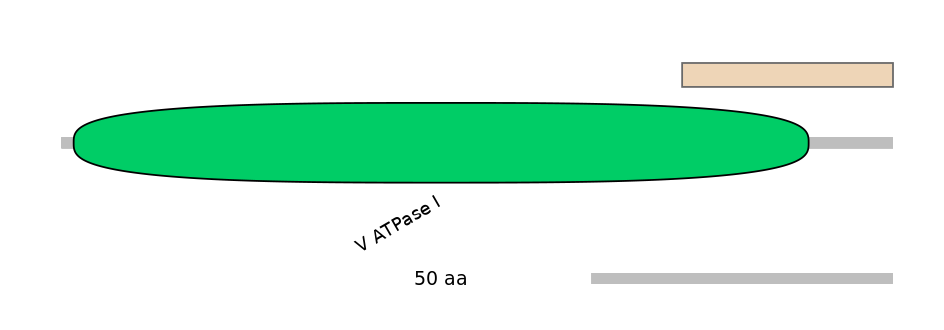 HsaEX0006971-EXC