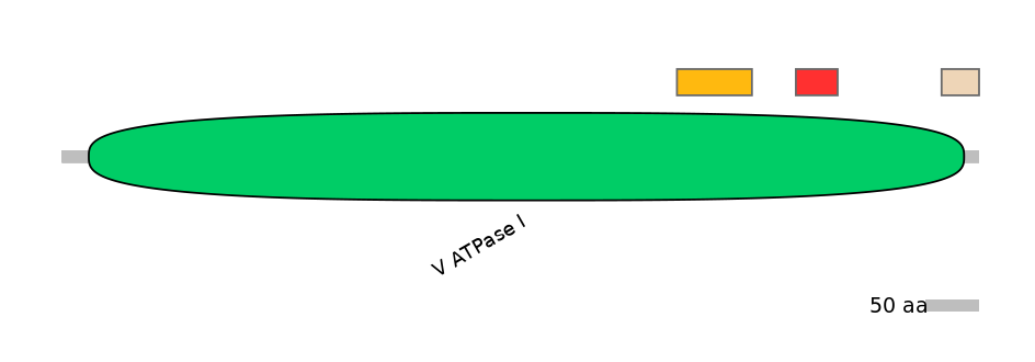 HsaEX0006971-INC
