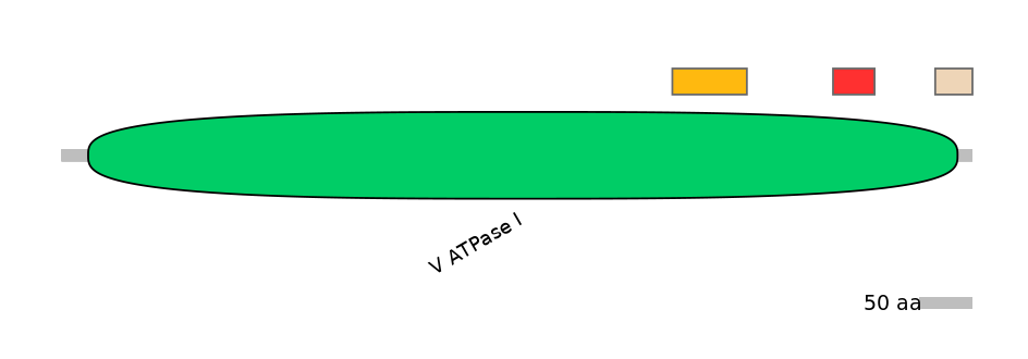 HsaEX0006972-INC