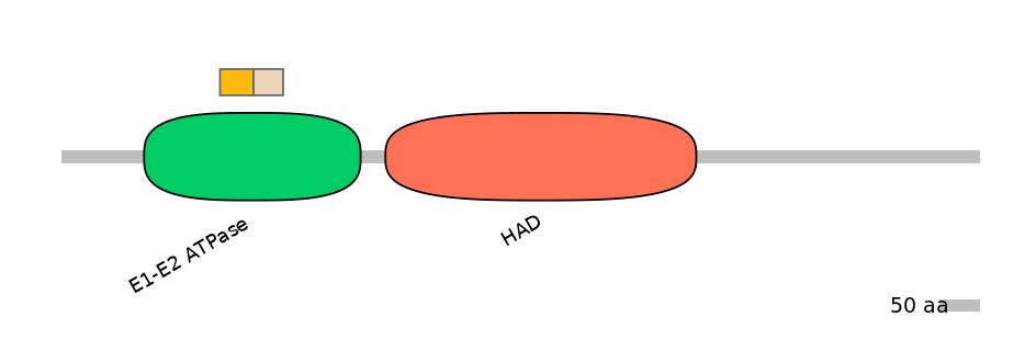 HsaEX0007044-EXC