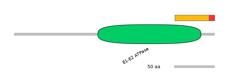 HsaEX0007044-INC