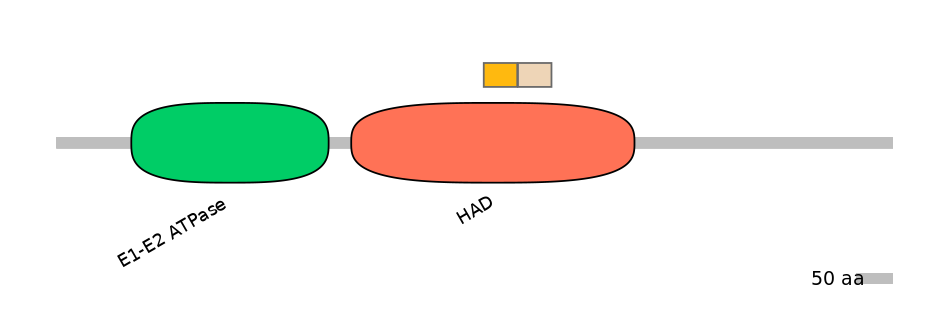 HsaEX0007047-EXC