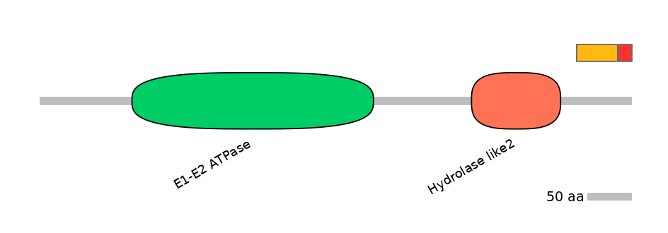 HsaEX0007047-INC