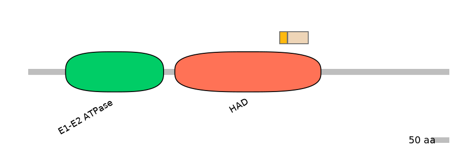 HsaEX0007048-EXC