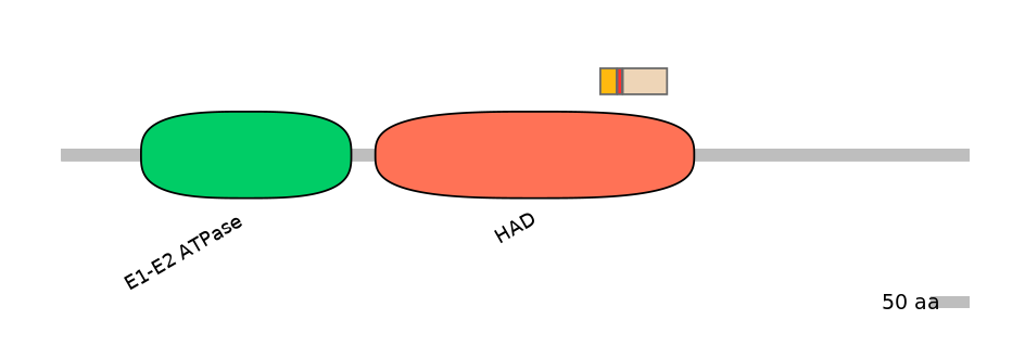 HsaEX0007048-INC