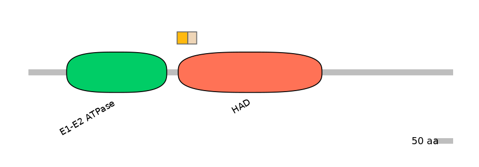 HsaEX0007057-EXC
