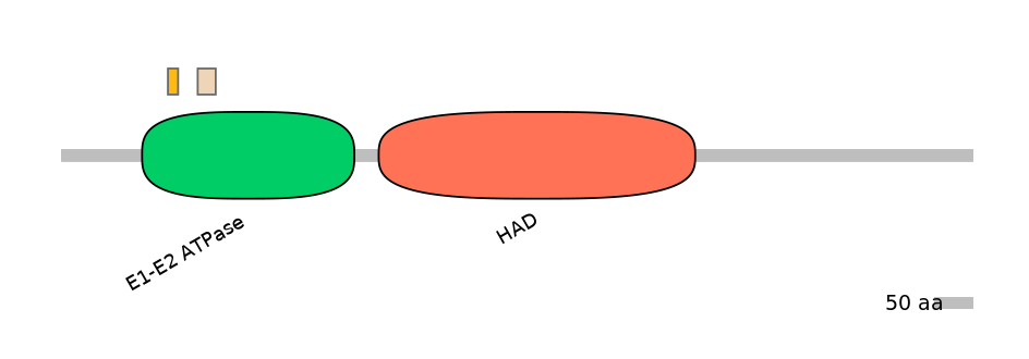 HsaEX0007059-EXC