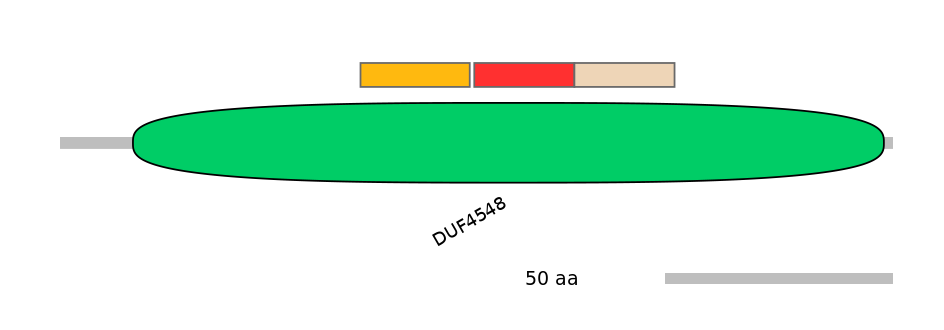 HsaEX0010087-INC