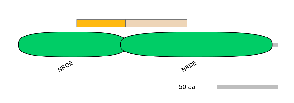 HsaEX0010607-EXC